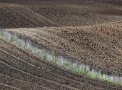 fotografia tempi della crisi