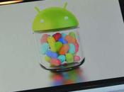 pubblicherà breve terminali riceveranno Android Jelly Bean