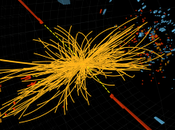 Cern: conferenza stampa bosone Higgs. Diretta video streaming