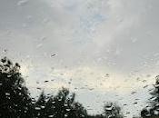 Fiori rosa, fiori ippocastano