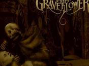Graveflower-return Primary Source