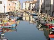 Chioggia luglio, Sagra Pesce