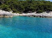 Pinete, incendi incuria Gargano...parla l'esperto