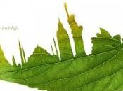 foglie ‘plant planet’