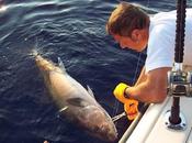 Catch Release: vivi lascia vivere