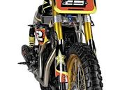 Harley 1200 "RockStar Energy MXR" Shaw Speed Custom