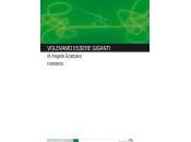“Volevamo essere giganti” Angela Scarparo: romanzo provincia immigrata scenari degli anni piombo