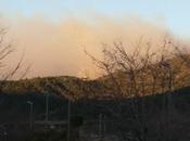 Ponente Ligure fiamme ettari macchia mediterranea Ferita volontaria