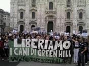 Green Hill: arrivano sigilli Corpo Forestale dello Stato