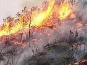 Fiamme alla periferia Olbia Brucia ancora Teodoro