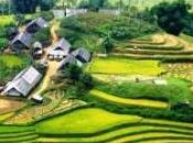 rischio paradiso Sapa?