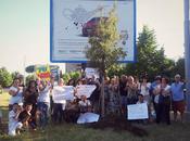 Alberi posto cartelloni!