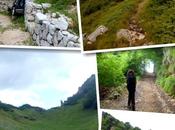 Trekking Lessinia 22/7 ovvero...pioggia stelle alpine