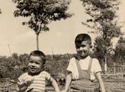 Sulle foglie verdi tabacco