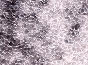 Ombre Inverse