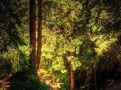 passeggiata Holderlin