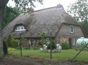 vacanze 2012