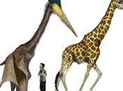 Pterosauri erano viaggiatori record