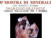 Borsa scambio minerali Grugliasco