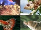 Storie sesso animalesco