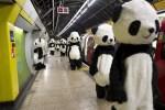 Panda nella metropolitana