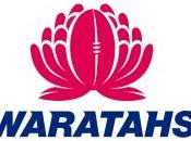 Waratahs voltano pagina: vanno coach, presidente team manager