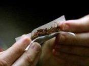 Veleno tabacco Pueblo