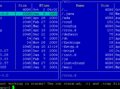 Midnight Commander noti diffusi file manager testuali utilizzati ambiente Unix estremamente versatile comodo.