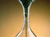 numeri comparto olivicolo oleario italiano