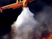 incendi boschivi Italia: cause numero