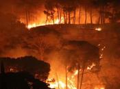 Sicilia brucia, roghi immensi. cenere patrimonio immenso