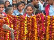 Bilanci 2011, ONLUS resistono