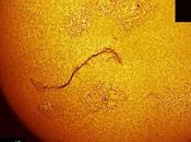 NASA: misteriosa fascia scura compare Sole