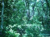 sogni diventeranno realta'..