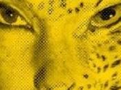 Locarno Visione monca
