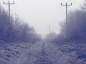 Shifted-crossed Paths