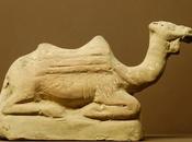cammello Romani