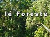 Tutte foreste mondo: censimento Nasa salvarle