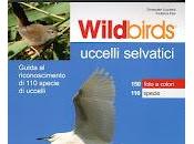 Wildbirds
