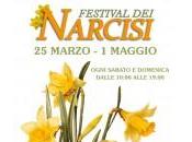 Festival Narcisi