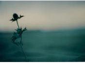 Deserto posted Matteo Paiano