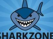 Logo Design: Shark