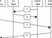 File Transfer Protocol tutte salse