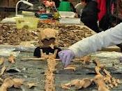 Altri resti umani Tancama