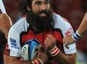 Colpo Crusaders: Lions arriva Josh Strauss