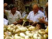 Perugia: festa della cipolla Cannara