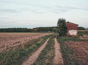 Dirt Road
