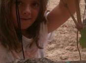 Baby-vendemmia 2012 Villa Petriolo