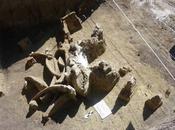 Ossa pleistoceniche Messico