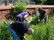 Rilassati tonici green